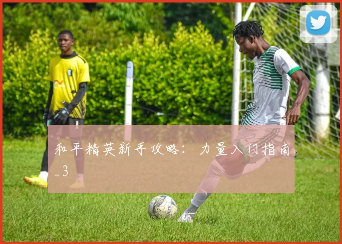 和平精英新手攻略：力量入门指南_3